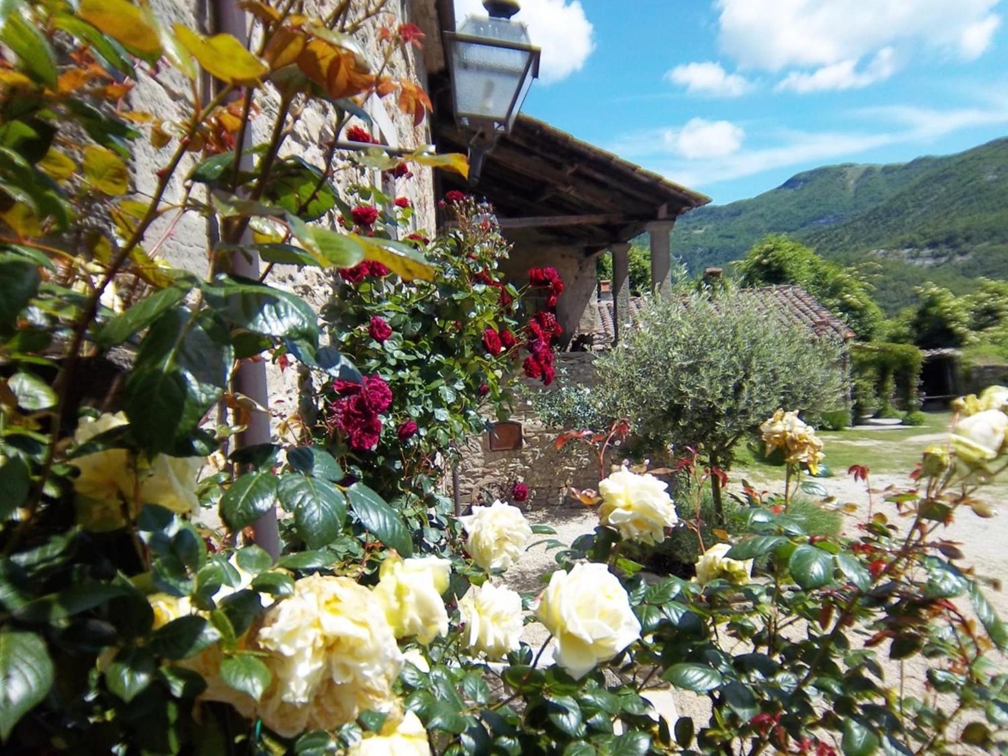 Comfy Home In San Godenzo With Lake Nearby Extérieur photo